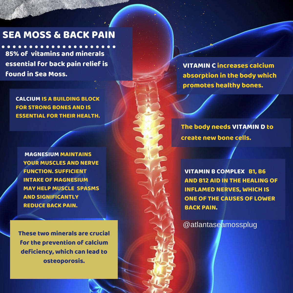 Sea Moss for Back Pain Atlanta Sea Moss Market