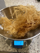 Load image into Gallery viewer, Gold  St.Lucian Raw Sea Moss