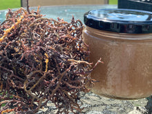 Load image into Gallery viewer, Jamaican Purple/Gold Gel