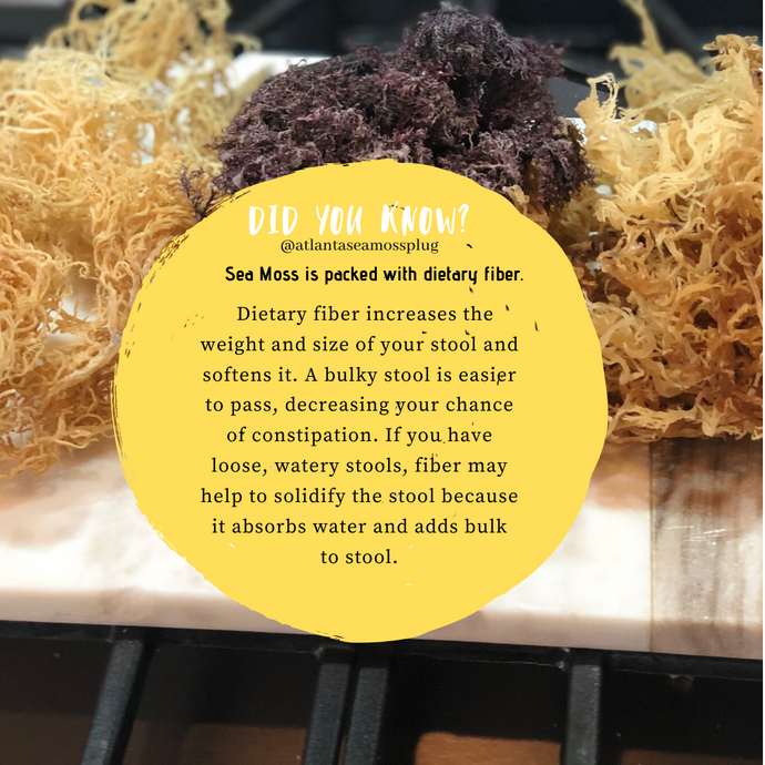 Digestive System and Sea Moss