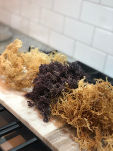 Three types of sea moss. St. Lucian Gold, Jamaican Purple, and Jamaican Gold.